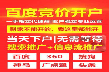 SEM托管服务案例：实现精准营销与客户转化